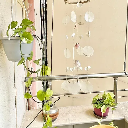 Synergy Viktoria Apartament